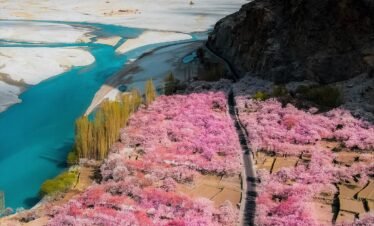 14-Day Blossom Season Tour of Northern Pakistan (By Air)