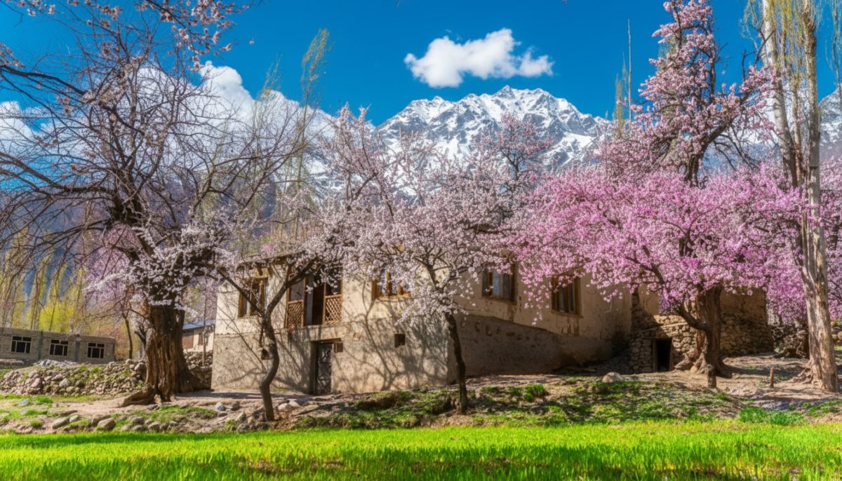 Skardu Valley Cherry Blossom Spring Tour 2027