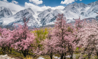 8 Days / 7 Nights (By Air) Blossom Season Tour of Northern Pakistan