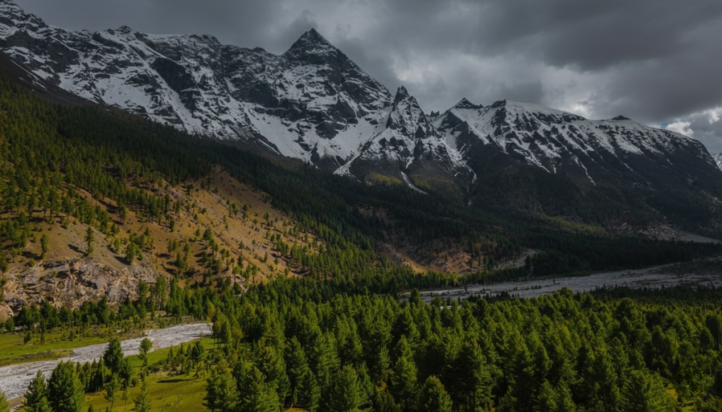 Untitled design (12)