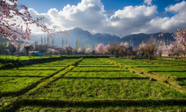 Skardu,Gilgit & Hunza Tour