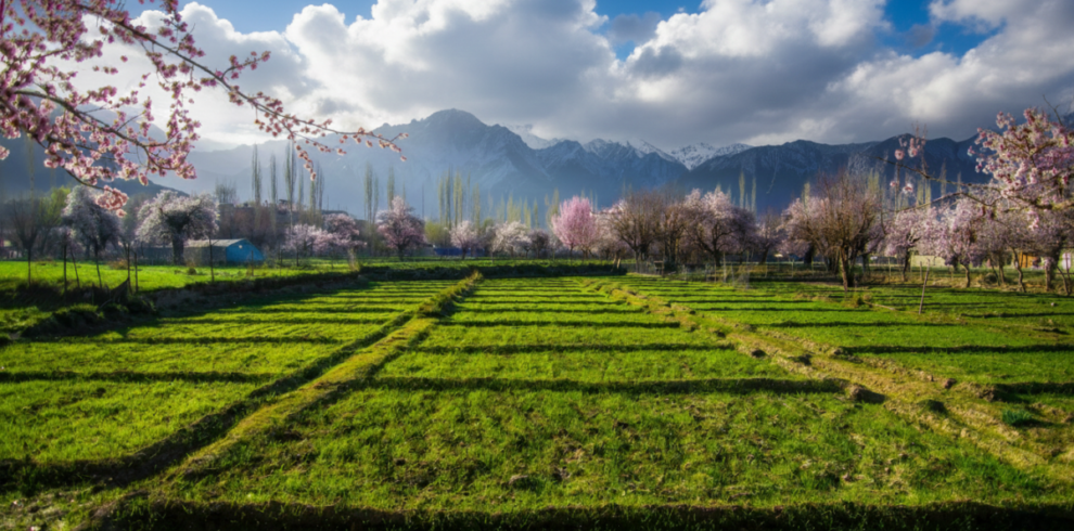 Skardu,Gilgit & Hunza Tour