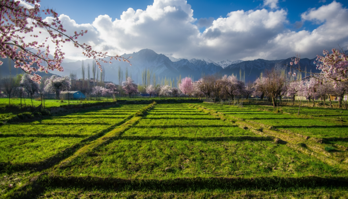Skardu,Gilgit & Hunza Tour