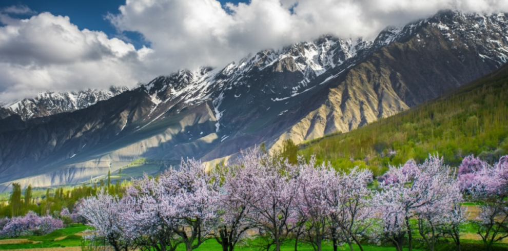 10 Days / 9 Nights (By Air) Blossom Season Tour of Northern Pakistan
