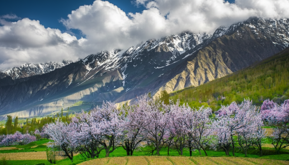 10 Days / 9 Nights (By Air) Blossom Season Tour of Northern Pakistan