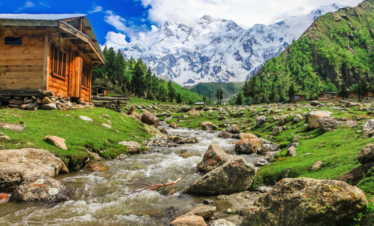 Fairy Meadows